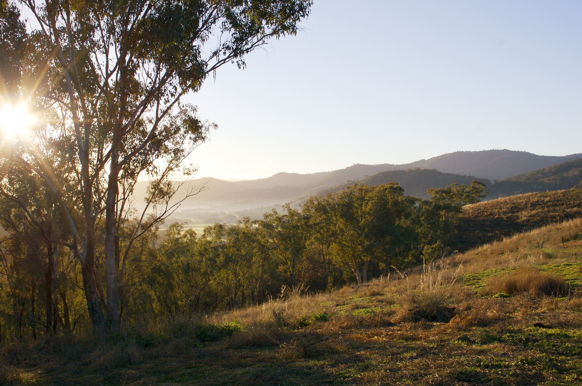 Redgum Estate Lifestyle Acreage, Tamworth Henry Kendall Group
